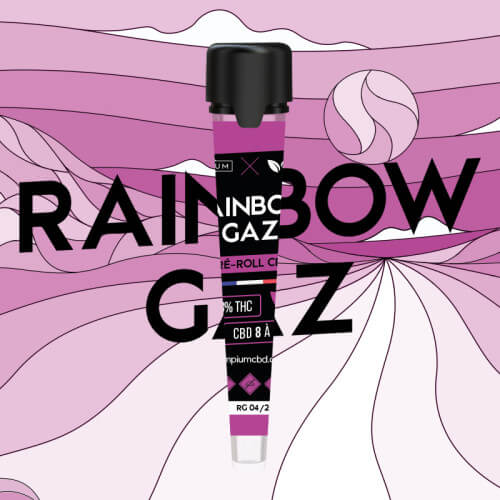 Rainbow Gaz Hempium X Happy Pousse