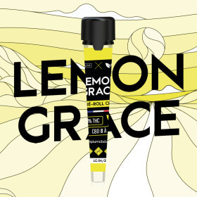 Lemon Grace Hempium X Happy Pousse